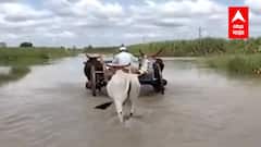 Marathwada Flood : अतिवृष्टीनं नुकसान झालेल्या शेतकऱ्यांना राज्य सरकारकडून मदत जाहीर : ABP Majha