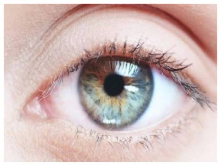 Eye test may detect heart disease, scanning of retina will tell stroke risk आंख से दिल की बीमारी का पता लगाना हुआ आसान, रेटिना की स्कैनिंग बताएगी स्ट्रोक का जोखिम