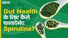 गट हेल्थ के लिए कैसे फायदेमंद है स्पिरुलिना? | Uncut