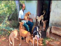 ‛இதுக தான் என்னோட உலகம்... இதுக இல்லாட்டி...’ நாய்களுக்காக வாழ்க்கையை அர்ப்பணித்த வெங்கி!