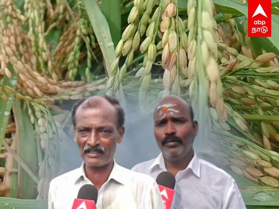 Thiruvarur: மூழ்கிய நெற்பயிர்கள்..இன்ஸ்யூரன்சும் இல்லை..கலங்கும் விவசாயிகள்