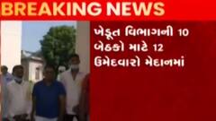 મહેસાણાઃ ઉનાવા APMCના ડિરેક્ટરની ચૂંટણી માટે મતદાન શરૂ, કેટલા ઉમેદવારો છે મેદાને?