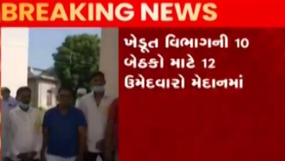 મહેસાણાઃ ઉનાવા APMCના ડિરેક્ટરની ચૂંટણી માટે મતદાન શરૂ, કેટલા ઉમેદવારો છે મેદાને?