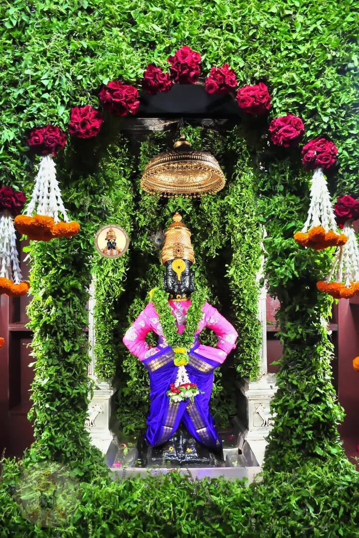 आज शारदीय नवरात्राला सुरुवात होत असताना गेल्या सहा महिन्यापासून बंद असलेली राज्यातील मंदिरे खुली होत असून घटस्थापनेच्या या शुभमुहूर्तावर विठ्ठल मंदिराला आकर्षक फुलांची सजावट करण्यात आली आहे . पुणे येथील विठ्ठल भक्त राम जांभुळकर यांनी ही फुलांची सेवा दिली असून आजच्या सजावटीसाठी विविध प्रकारच्या जवळपास अडीच टन फुलांचा आणि तुळशीपत्राचा वापर केला आहे . यामध्ये लक्षावधी तुळशीच्या पानांसह झेंडू , गुलाब, अष्टर , शेवंती , जरबेरा , कागडा , कामिनी , ग्लॅडीओ या फुलांचा वापर करण्यात आला आहे . विठुरायाचा गाभारा त्याच्या लाडक्या तुळशीपत्राने भरून गेला असून रुक्मिणी मातेच्या मागे शेवंतीच्या फुलाचे पडदे करण्यात आले आहेत .