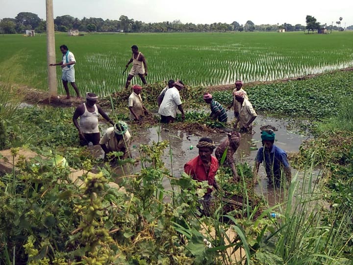 தஞ்சை: பொதுப்பணித்துறை கண்டுகொள்ளாததால் வாய்க்காலை சொந்த செலவில் தூர்வாரும் விவசாயிகள்