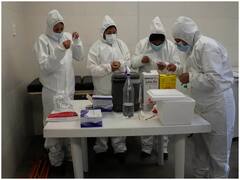 Yezo Virus: जापान में नई संक्रामक बीमारी की खोज, जानिए इंसानों के लिए कितनी है खतरनाक