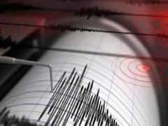 Pakistan Earthquake: பாகிஸ்தானில் சக்திவாய்ந்த நிலநடுக்கம் - 20 பேர் உயிரிழப்பு!