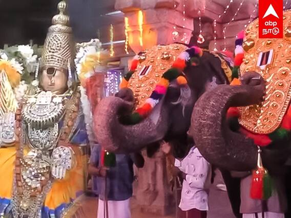 Srirangam : மவுத் ஆர்கன் இசைத்து மகிழ்ந்த கோயில் யானை!