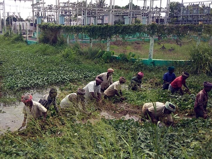 தஞ்சை: பொதுப்பணித்துறை கண்டுகொள்ளாததால் வாய்க்காலை சொந்த செலவில் தூர்வாரும் விவசாயிகள்