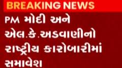 રાષ્ટ્રીય કારોબારી સમિતિની જાહેરાત, જુઓ કયા-કયા નેતાઓને મળ્યું સ્થાન?