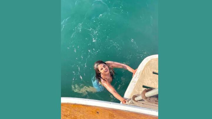 বলিউডেই শুধু নিজেকে আটকে রাখেননি প্রিয়াঙ্কা চোপড়া। তাঁর অভিনয় দক্ষতা দেখা গিয়েছে হলিউড ছবিতেও।