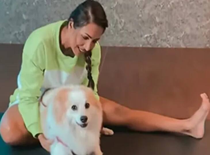 Malaika Arora never has a dull moment when her pet dog Casper is around पालतू डॉग Casper के साथ खेलती नज़र आईं Malaika Arora, वीडियो शेयर कर लिखी बेहद प्यारी बात
