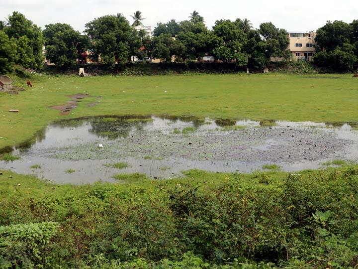 The ponds at Kumbakonam where the water comes from the Cauvery are unfilled level-occupied routes காவிரியில் தண்ணீர் வந்தும் கும்பகோணத்தில் உள்ள குளங்கள் நிரம்பாத நிலை-ஆக்கிரமிக்கப்பட்ட வழித்தடங்கள்