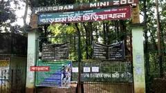 Jhargram: এনক্লোজারে দুই ছানা, ঝাড়গ্রাম চিড়িয়াখানাতেই থেকে গিয়েছিল চিতাবাঘ, খোঁজ মিলল ১৭ ঘণ্টা পর | Bangla News