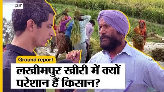 लखीमपुर खेरी इलाके में क्यों परेशान हैं किसान, कृषी कानूनों ने कैसे बदली खेती, क्या पड़ा असर?
