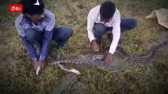 Ananthapuram: చేప కోసం వలేస్తే ఏం దొరికిందో  తెలుసా ?