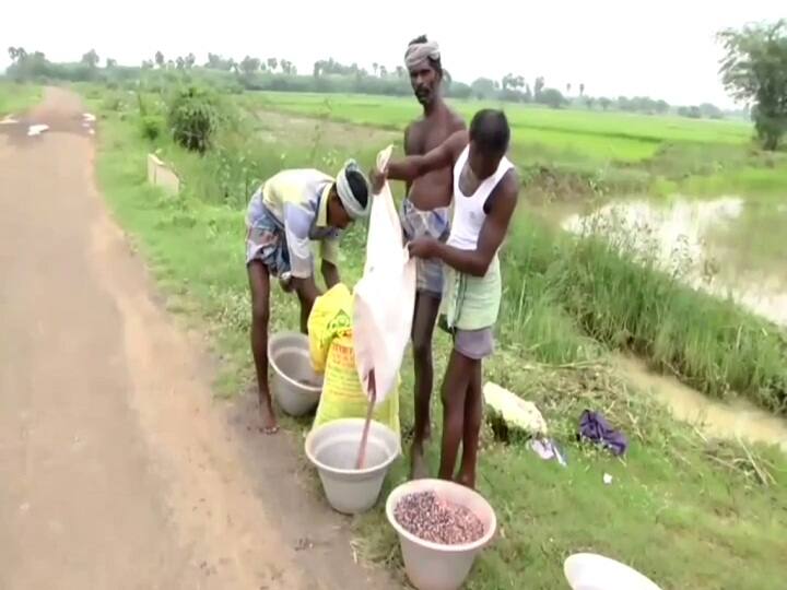ABP IMPACT: திருவாரூரில் உரம் பதுக்கிய 2 கடைகளுக்கு உரம் விற்பனை செய்ய தடை