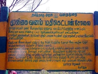 கொடைக்கானலில் தடை செய்யப்பட்ட மதிகெட்டான் சோலை மர்மக்காடு-இதுவரை 12 பேர் உயிரிழந்த சோகம்