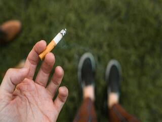 Quit Tobacco App: तंबाखूच्या व्यसनापासून मुक्तता मिळवण्यासाठी आता 'क्विट तोबॅको अॅप';  जागतिक आरोग्य संघटनेचा उपक्रम