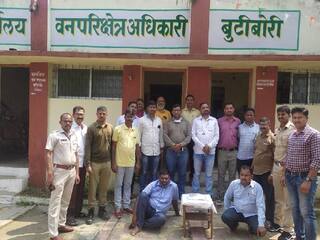 Nagpur Crime : गावातील सरपंचानं पैशाचा पाऊस पाडण्याच्या हव्यासापोटी केली वाघाच्या बछड्याची शिकार