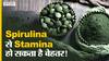 स्टैमिना के लिए कैसे ज़रूरी है स्पिरुलिना और इसके क्या फायदे होते हैं?