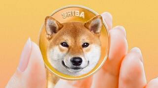 इलॉन मस्कच्या सांकेतिक ट्वीटनंतर Shiba Inu क्रिप्टोकरन्सीच्या किंमतीत 47 टक्क्यांची वाढ