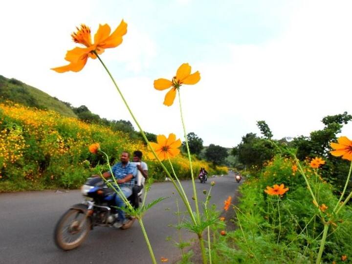 நீ தானே என்றும் எனக்கு நல்ல தோழி (இடம்: புனே)