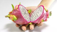 Health Tips: কেন রোজকার খাবারের তালিকায় রাখবেন ড্রাগন ফ্রুট?