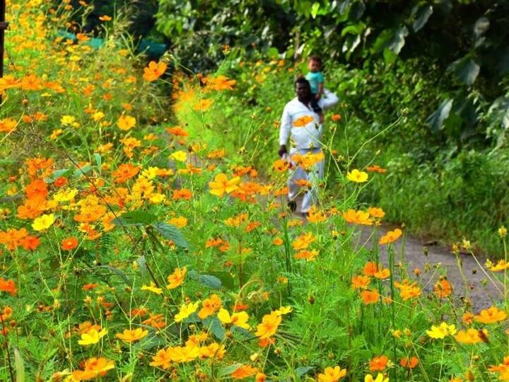 வண்ணங்களோடு மலருகிறாய் வாசனையோடு வாழுகிறாய்