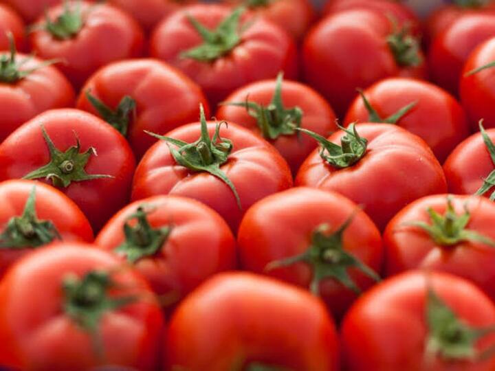 Spike in tomato price due to rain and shortage of import மனதை தேற்றிக்கொள்ளுங்கள்... ரூ. 50க்கு விற்கும் தக்காளி!