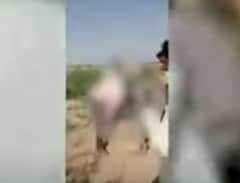 ਰਾਜਸਥਾਨ 'ਚ ਦਲਿਤ ਨੌਜਵਾਨ ਦਾ ਕੁੱਟ-ਕੁੱਟ ਕੇ ਕਤਲ, ਬੀਜੇਪੀ ਦਾ ਨਿਸ਼ਾਨਾ- ਉਥੇ ਕਿਉਂ ਨਹੀਂ ਜਾਂਦੇ ਰਾਹੁਲ-ਪ੍ਰਿਯੰਕਾ ਗਾਂਧੀ? 