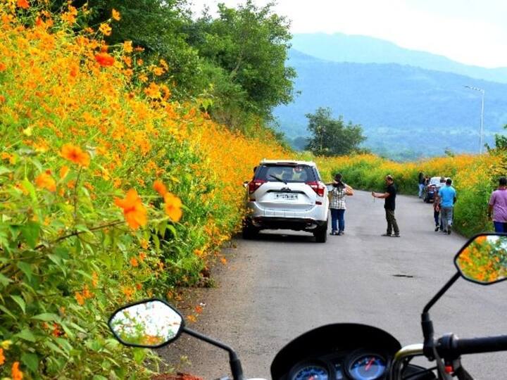 வசந்தம் வந்த செய்தியினை வண்டுக்கு எப்படி சொல்வாயோ வண்ணத்திலா வாசத்திலா இரண்டிலுமா