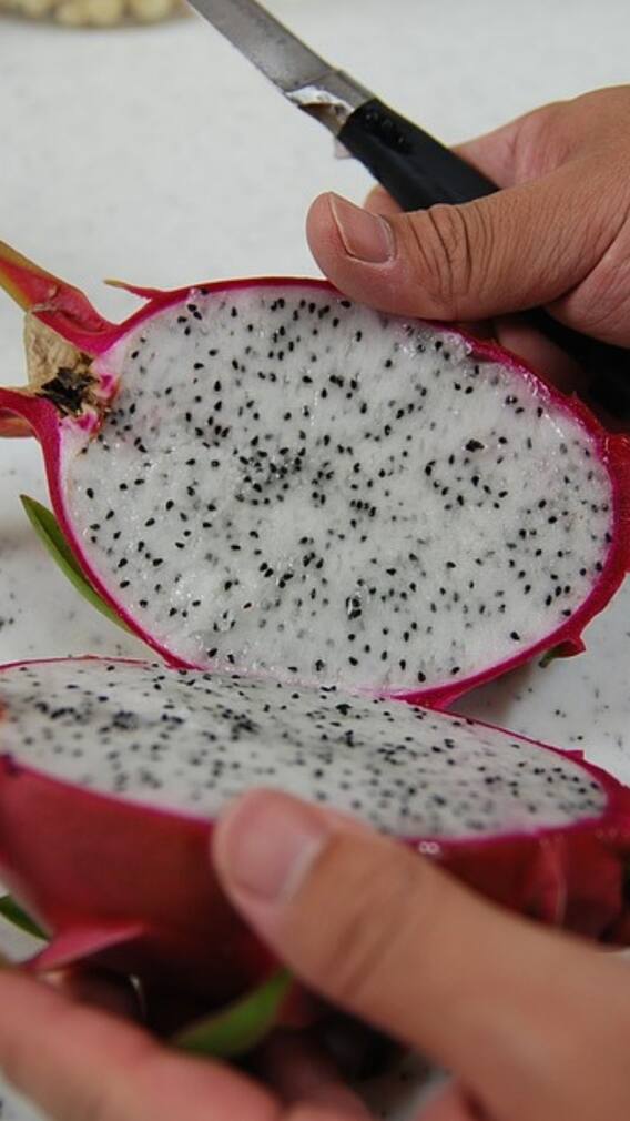 কীভাবে স্বাস্থ্যের উপকার করে ড্রাগন ফ্রুট?