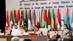 India's stern warning to OIC over statement on Assam