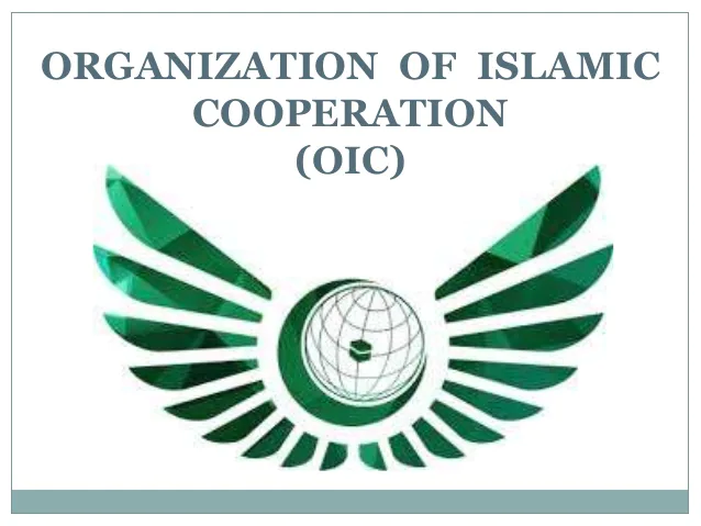 असम हिंसा पर OIC के दिए बयान पर भारत ने जताई कड़ी आपत्ति