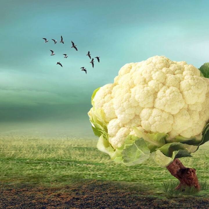 ফুলকপিতে থাকা বিভিন্ন রকমের অ্যান্টিঅক্সিডেন্ট চামড়ার ডার্ক স্পট কাটাতে সাহায্য করে(ছবি সৌজন্যে : Pixabay)(ডিসক্লেমার : এগুলি এবিপি আনন্দর সাজেশন মাত্র। যে কোনও রকম রোগের ক্ষেত্রে কী সব্জি খাবেন বা কী ডায়েট চার্ট ফলো করবেন তার জন্য চিকিৎসকের পরামর্শ নিন)।