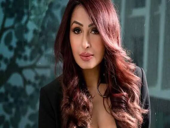 Kashmera Shah ने Govinda की पत्नी Sunita Ahuja के बारे में कही ये बात, जानकर हैरान रह जायेंगे आप Kashmera Shah ने Govinda की पत्नी Sunita Ahuja के बारे में कही ये बात, जानकर हैरान रह जायेंगे आप
