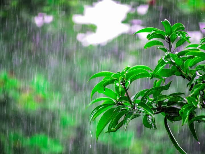Rain Alert in andhrapradesh and telangana for coming Two days Weather Update: బంగాళాఖాతంలో అల్పపీడనం.. తెలుగు రాష్ట్రాల్లో మరో రెండు రోజులు వర్షాలు