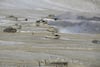 Ladakh News: लद्दाख से श्रीनगर और कारगिल के लिए विमान सेवाएं 29 दिसंबर से, जानें पूरी खबर