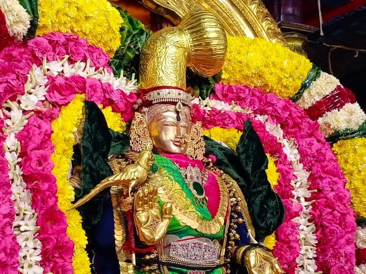 3. கையில் கிளியோடு காட்சி தரும் அன்னை