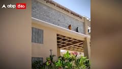 Hanmakonda: కలెక్టరేట్ ఎక్కి మహిళల ఆత్మహత్యాయత్నం