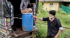 Navsari: આડા સંબંધની શંકામાં પતિએ પત્નીની કરી નાંખી હત્યા, પ્લાસ્ટિકના કેનમાં લાશ નાંખી ને....