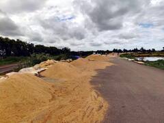 Chhattisgarh News: सरकार ने किसानों से पहले दिन खरीदा 88 हजार मीट्रिक टन धान, बारदाना के मिलेंगे 25 रुपये