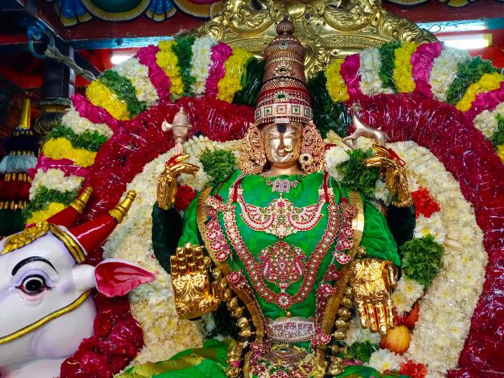 அழகிய முகத்தில் காட்சி தரும் ரஷிப வாகனத்தில் ஆரோதன அலங்காரத்தில் அம்மன்