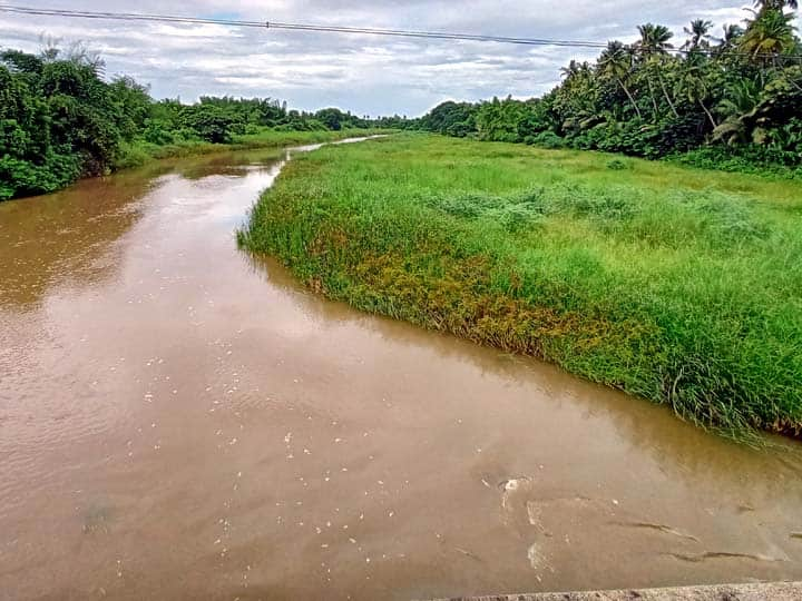 1.10 lakh acres of land in 1000 villages are at risk of extinction வெட்டாற்றில் அகற்றப்படாத கோரைகள்-1000 கிராமங்களில் 1.10 லட்சம் ஏக்கர் நிலங்கள் அழியும் அபாயம்...!