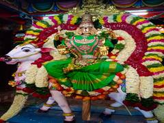 திருவண்ணாமலை அருணாச்சலேஸ்வரர் நவராத்திரி உற்சவம் ஐந்தாம் நாள்!