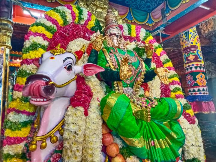 நவராத்திரி பராசக்தி அம்மன் ஆரோதனா அலங்காரத்தில் உள்ள அம்மனை தாங்கியுள்ள ரிஷிப வாகனம்