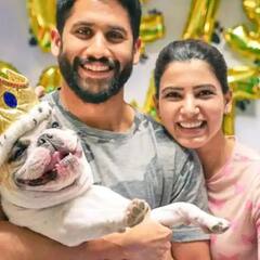 Samantha Chay Divorce: सामंथा से तलाक के बाद पापा Nagarjuna का घर छोड़ेंगे Naga Chaitanya, नए घर में होंगे शिफ्ट