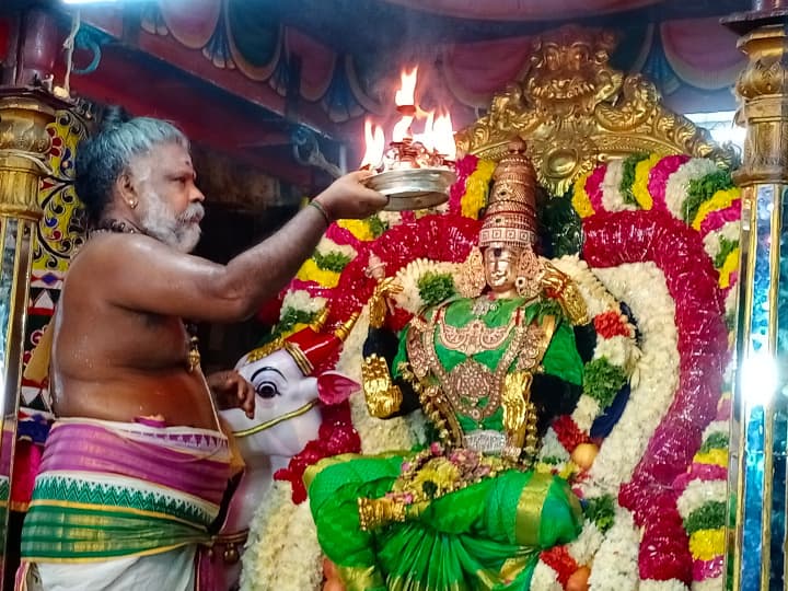 ரிஷப வாகன அலங்காரத்தில் எழுந்தருளிய அம்மனுக்கு தீபாராதனை