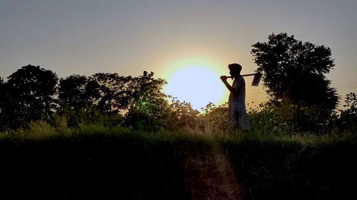 ਸੰਗਰੂਰ ਦੀ ਗੱਲ ਕੀਤੀ ਜਾਵੇ ਤਾਂ ਲਹਿਰਾਗਾਗਾ ਸਾਈਡ ਵਿੱਚ ਨਰਮੇ ਦੀ ਖੇਤੀ ਹੁੰਦੀ ਹੈ। ਇੱਥੇ ਤਕਰੀਬਨ 6500 ਏਕੜ ਵਿੱਚ ਕਿਸਾਨ ਨਰਮੇ ਦੀ ਖੇਤੀ ਕਰਦੇ ਹਨ।